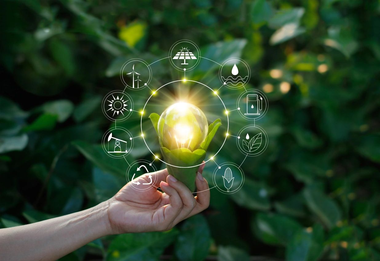 Sustainable services