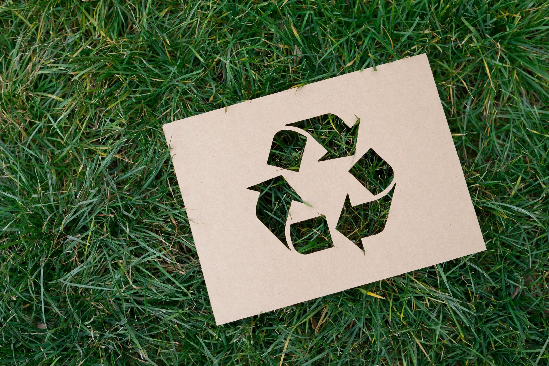 EcoVibe Services feature